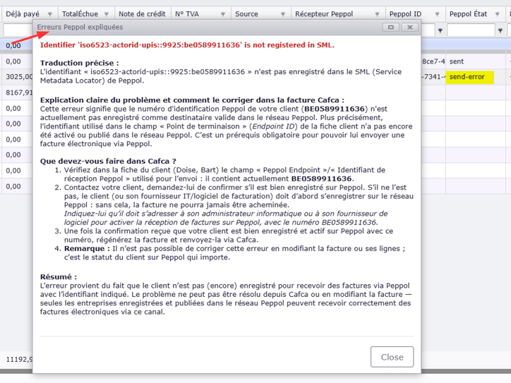 Traductions claires des messages d'erreur complexes de Peppol - Cafca Software